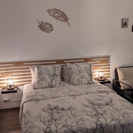 Escapade Mulhousienne Daire Mulhouse Dış mekan fotoğraf